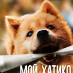 Мой Хатико (2023)