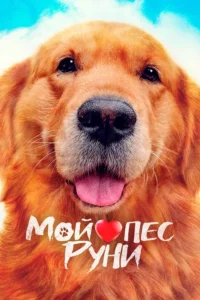 Мой Пёс Руни